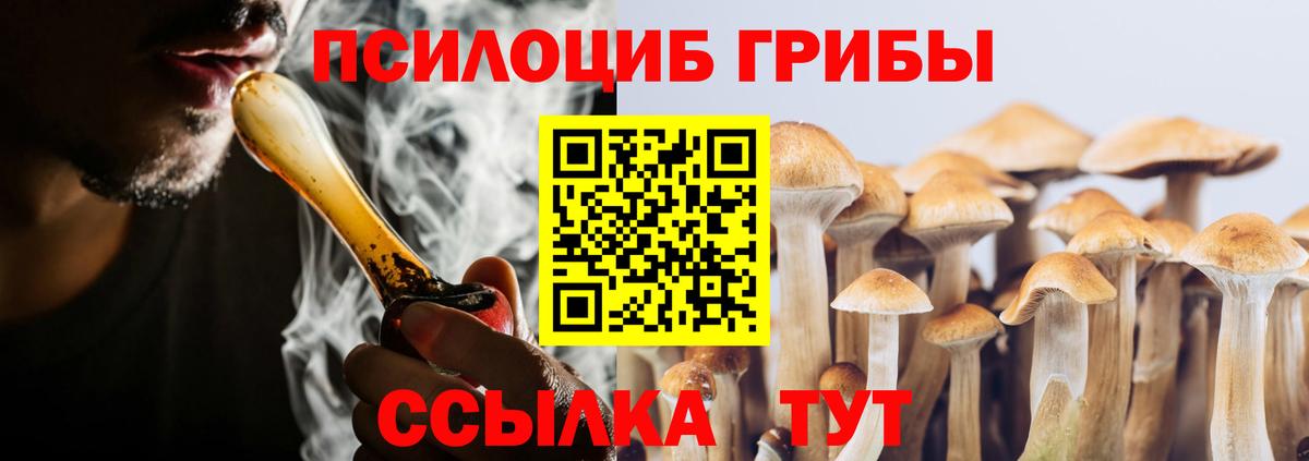 Армавир  Галлюциногенные грибы GOLDEN TEACHER  Вход с VPN 